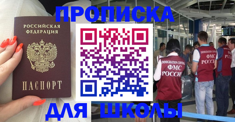 пропишу в квартире в Волоколамске